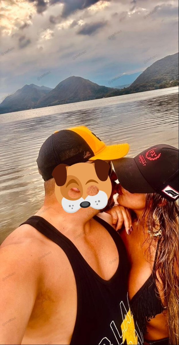 stefiosc tweet media