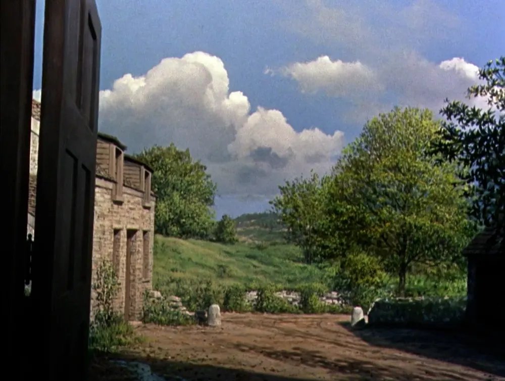 Tom K Morris tweet media