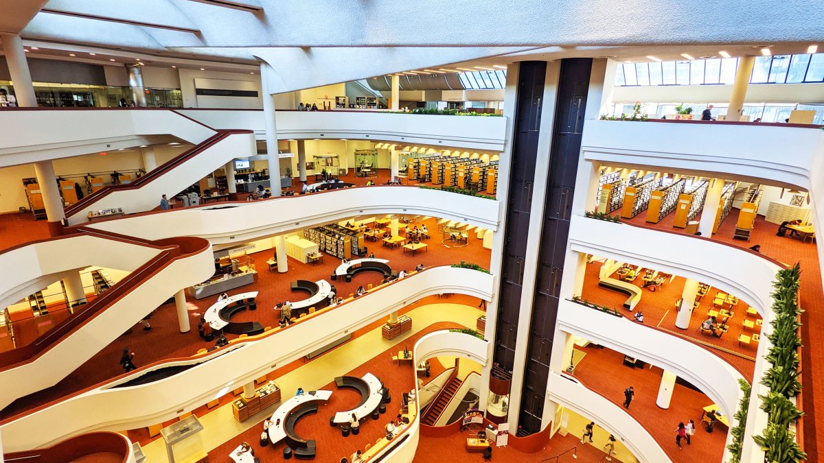 We Are the Mutants tweet media