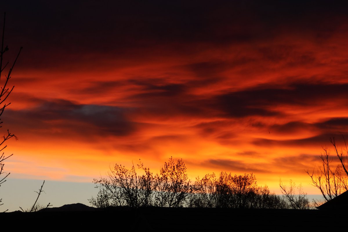 John Michaelson 🔭 tweet media