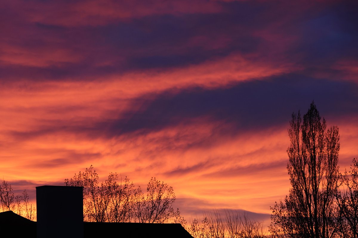 John Michaelson 🔭 tweet media