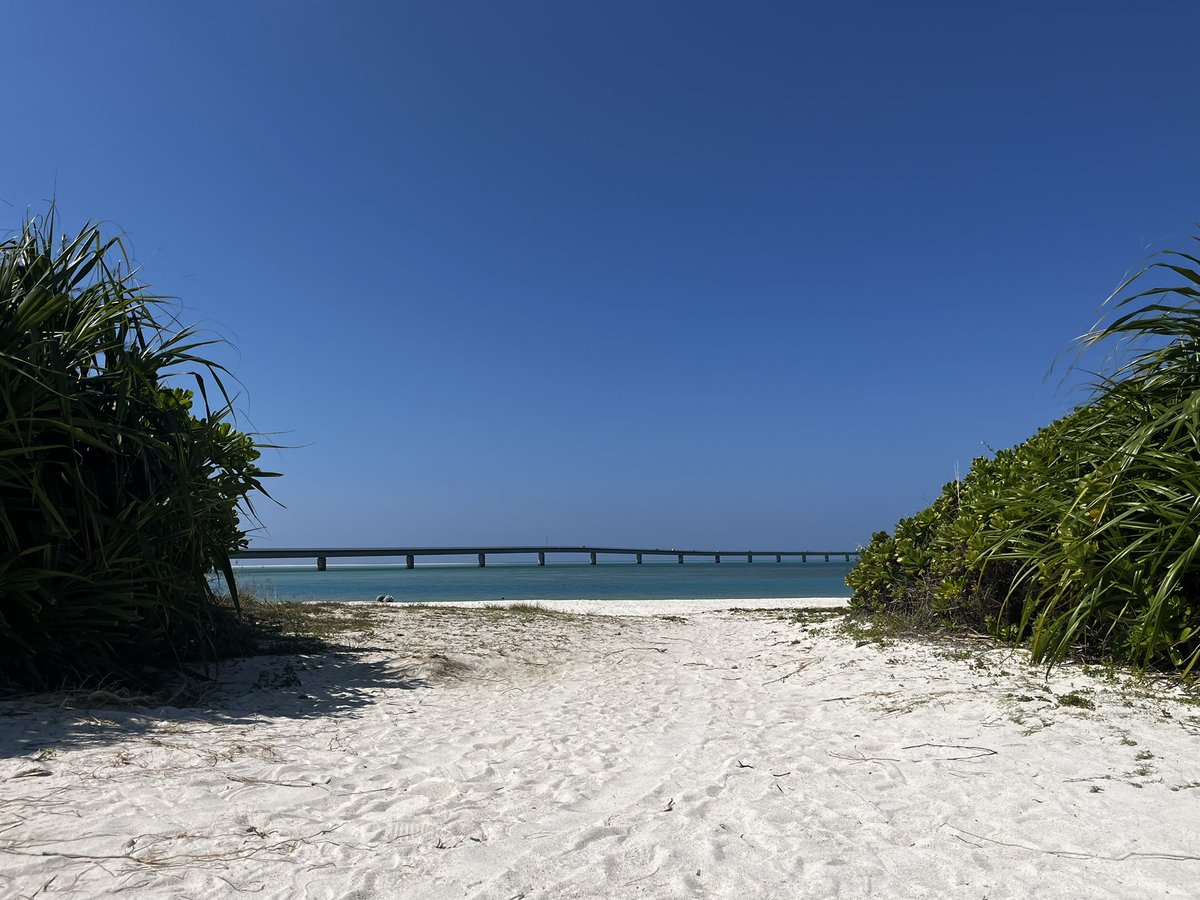 KIKUCHI@リアポ大阪、NEXUS2026、闇の王展 tweet media