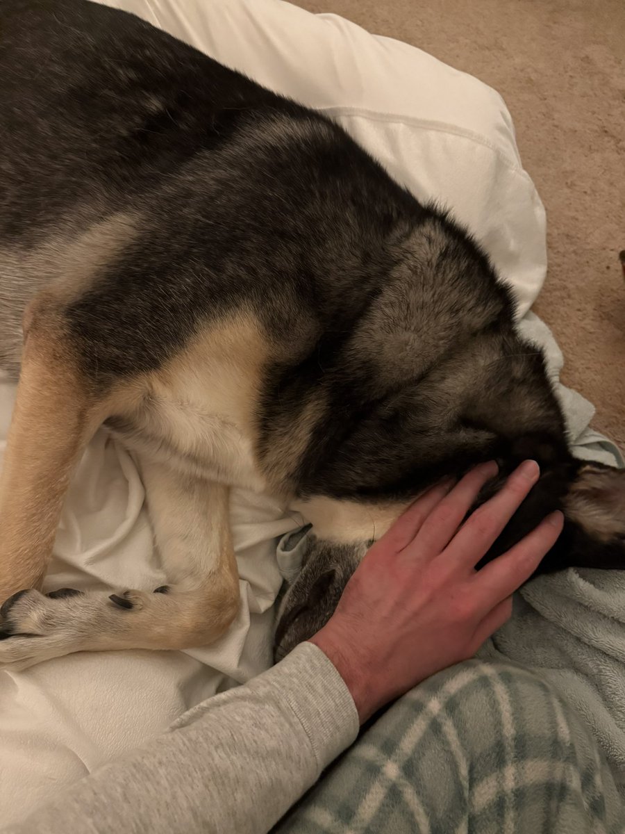 🔶🌵 COYOTE🌵🔶 tweet media