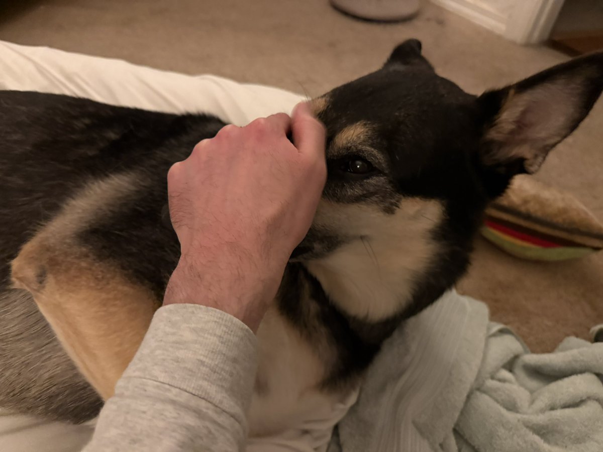 🔶🌵 COYOTE🌵🔶 tweet media