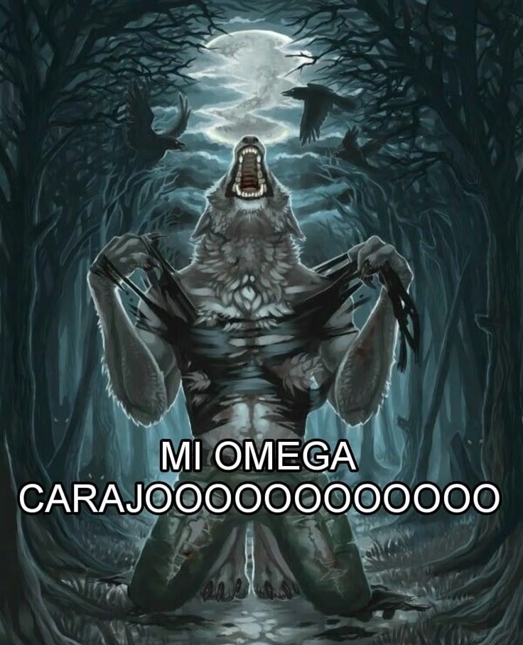 ໒Ꭰaℓu¹¹࿐ tweet media