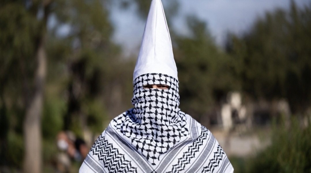 The Daily Brine tweet media