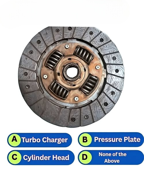 Connie 🇺🇸 tweet media