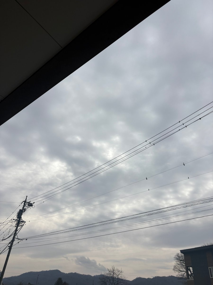 合同会社エースプランニング tweet media