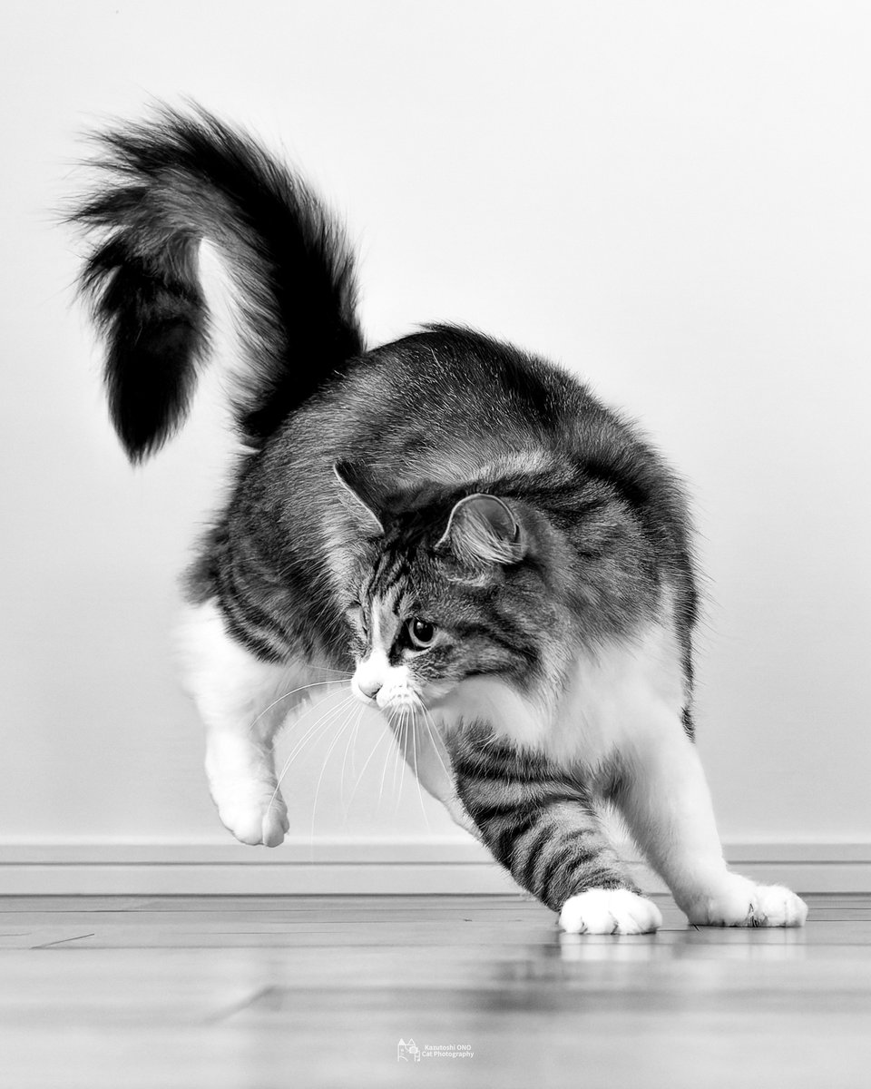 小野一俊 tweet media