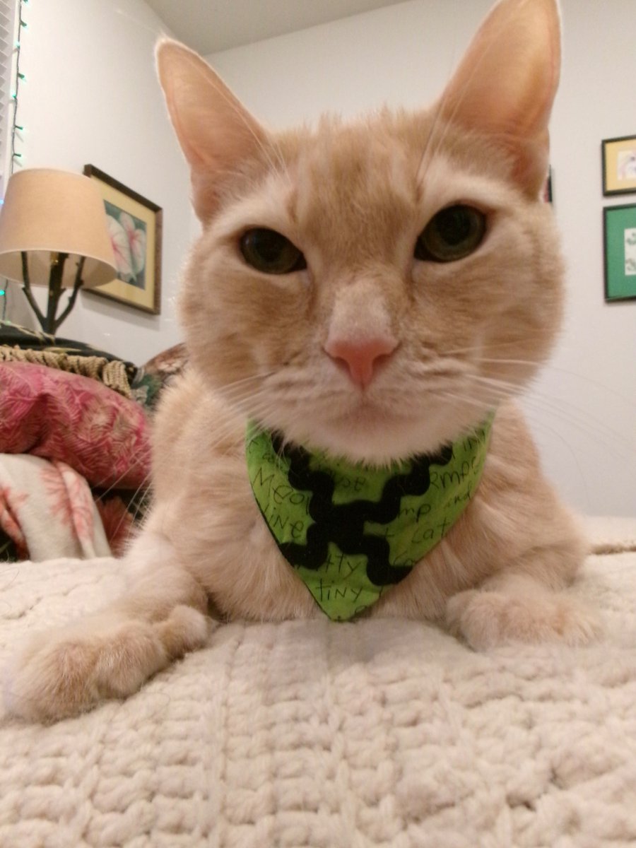 Travis Ford tweet media