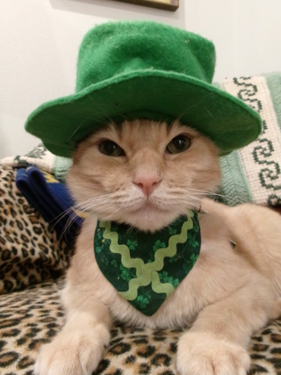 Travis Ford tweet media