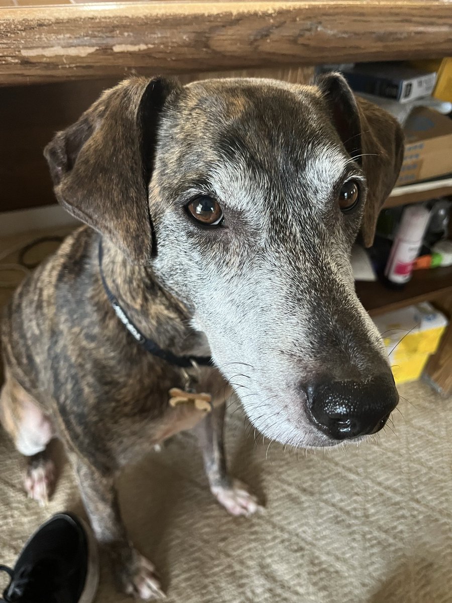 Mayor’s HoeCake Mafia tweet media