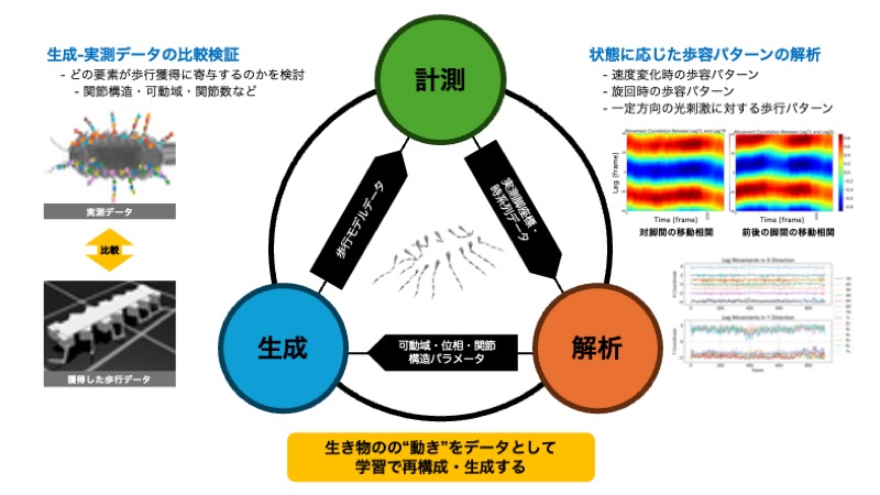 3月28日
【研究紹介】モノづくり×生物計測：虫の動きをデータで視る（永谷研究室）

オカダンゴムシなど虫たちの歩行を計測する装置の実演を行い、生き物の動きをデータとして可視化・解析する研究を紹介します。

#京都産業大学 #情報理工学部 #オープンキャンパス