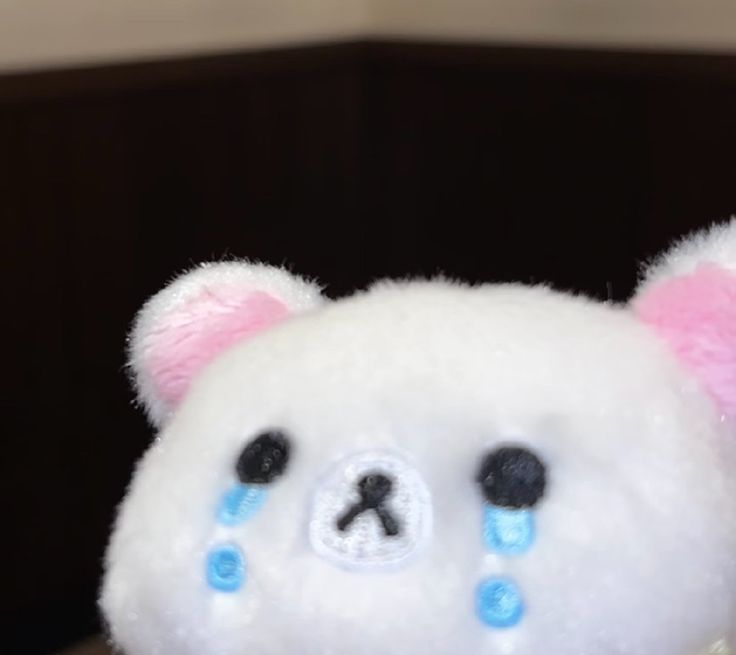 (트친소중) 유연 or 겨울 tweet media