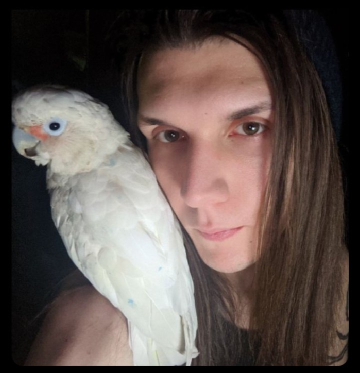 smartass🏴 (actually a Skinwalker) tweet media