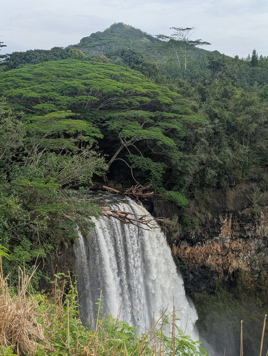 Derrick Murray tweet media