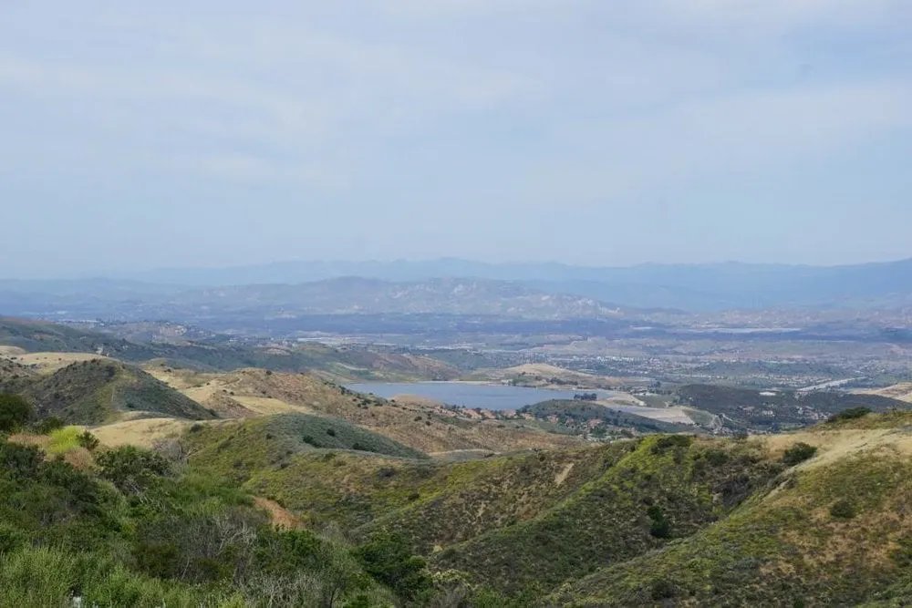 Tom K Morris tweet media