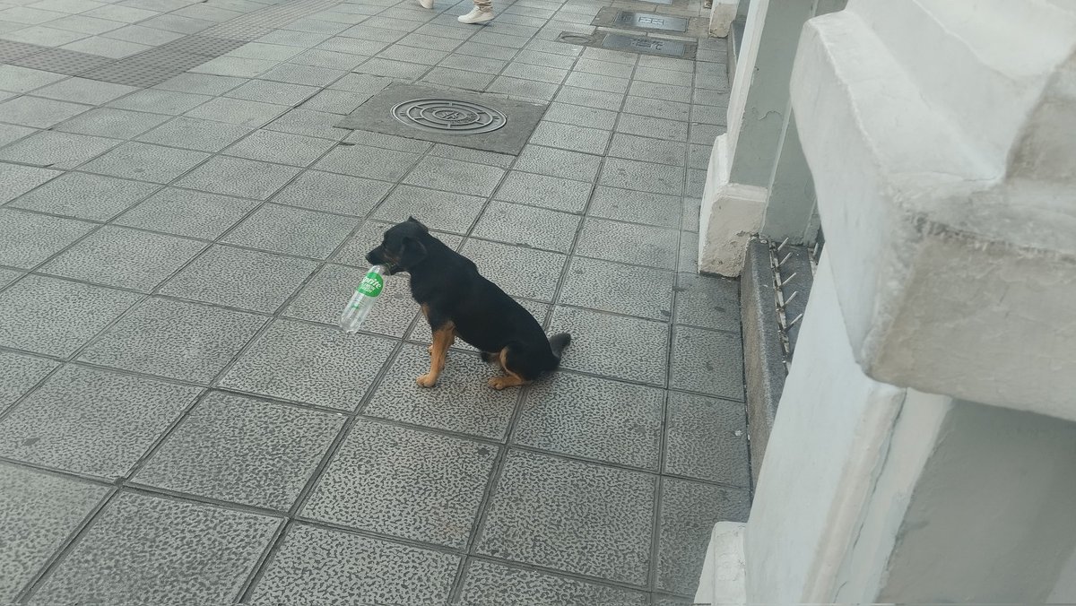 Manuel G tweet media