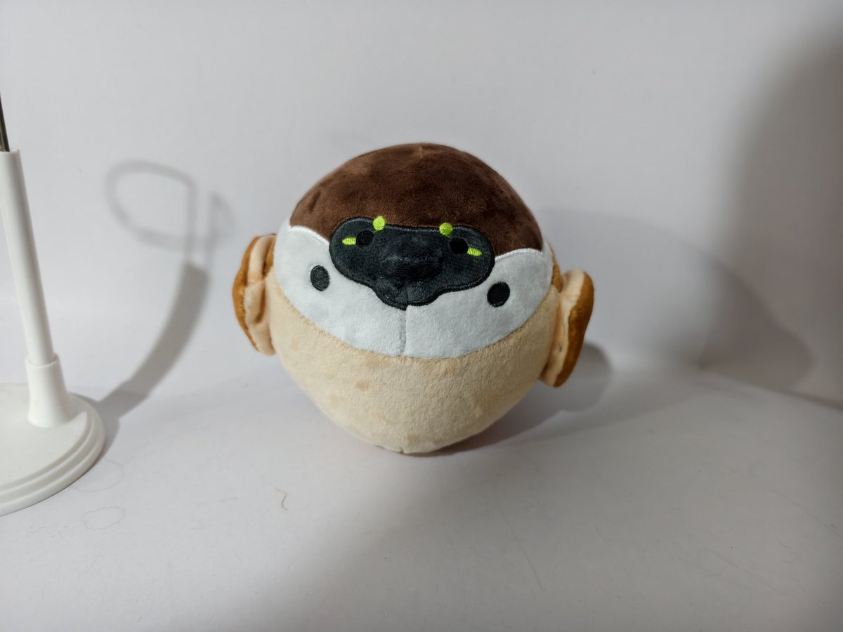 Ary | 迅风掠影 🔜 FWA tweet media