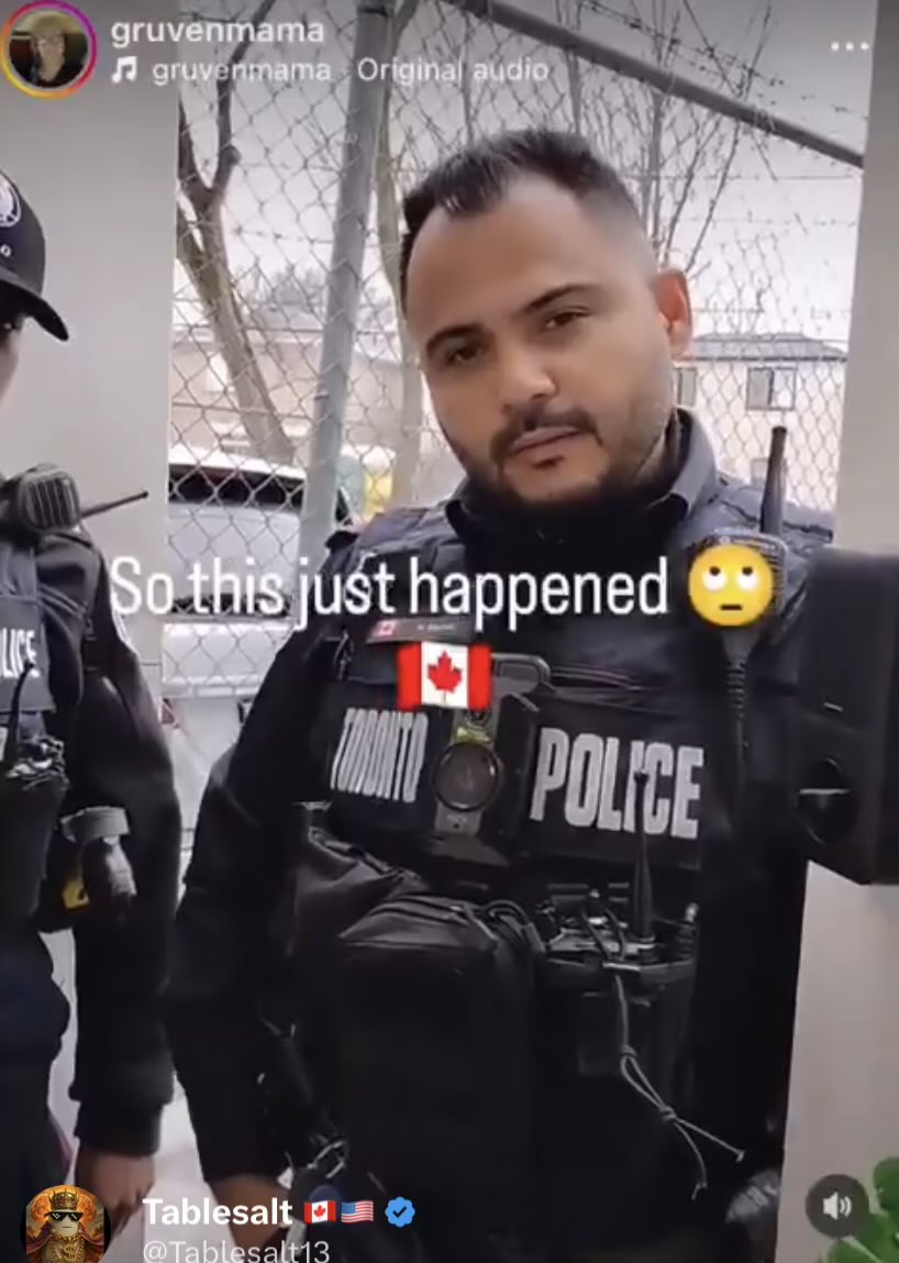 Chadimir Poutine 👨 🐻 🐷 tweet media