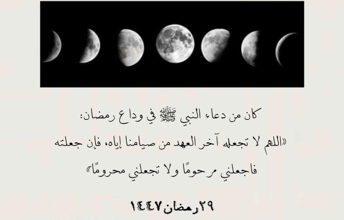 أحمــد. tweet media