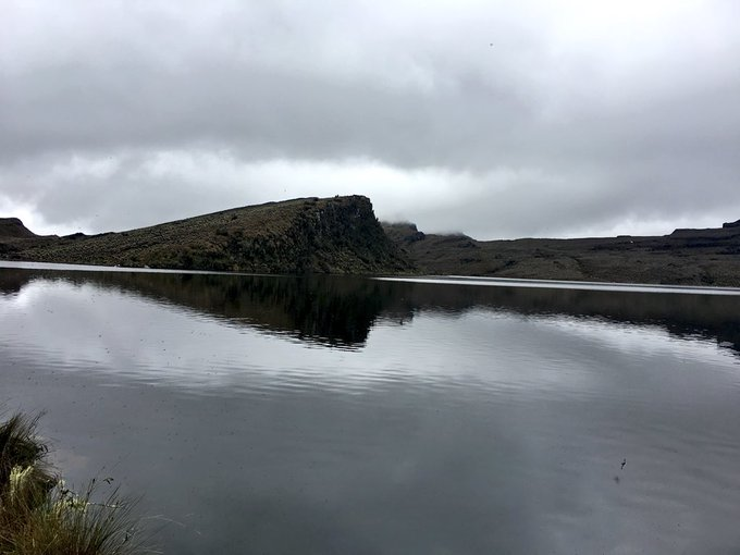 Historia de Colombia tweet media