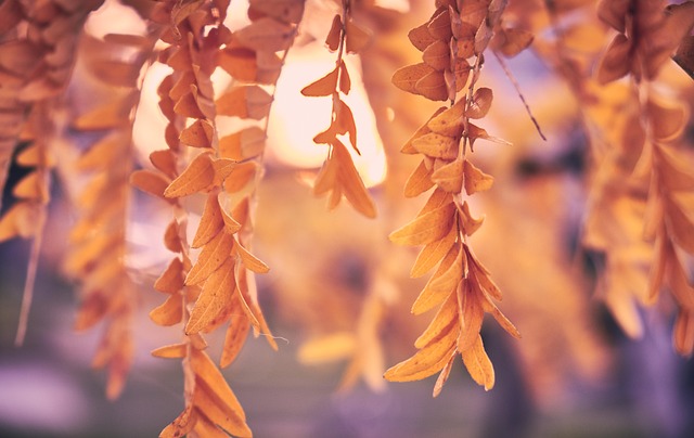 Melissa Turner tweet media