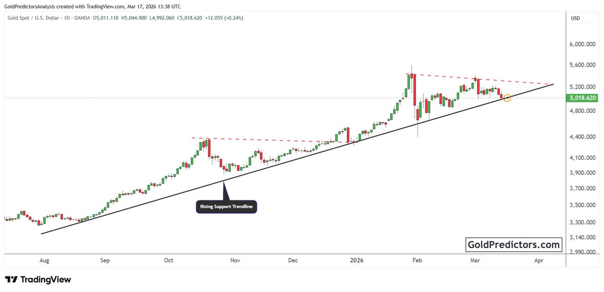 Gold Predictors tweet media