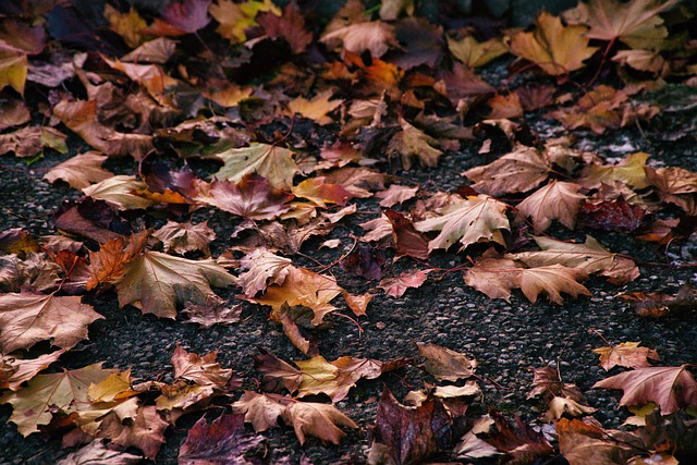 Eugene Singh tweet media