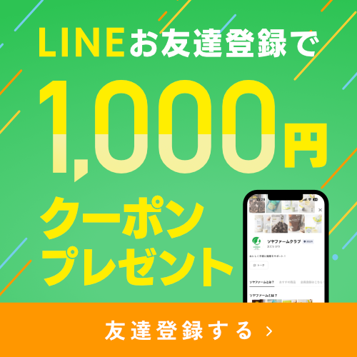 fujioilgroup's tweet photo. 不二製油の公式オンラインショップ
『ソヤファームクラブ』
にて現在LINE友達登録で
1000円OFFクーポンをプレゼントしております🙌

人気のハイカカオチョコ🍫
話題の豆乳クリームバター🌱
など幅広い製品扱っていますので
是非お立ち寄りくださいませ😌😌

🔸詳細はこちら🔸
https://t.co/iQXNns6PzA https://t.co/SQtkLCP4vv