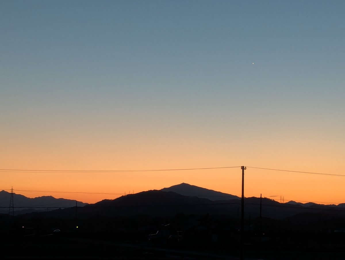 旅先での写真 tweet media