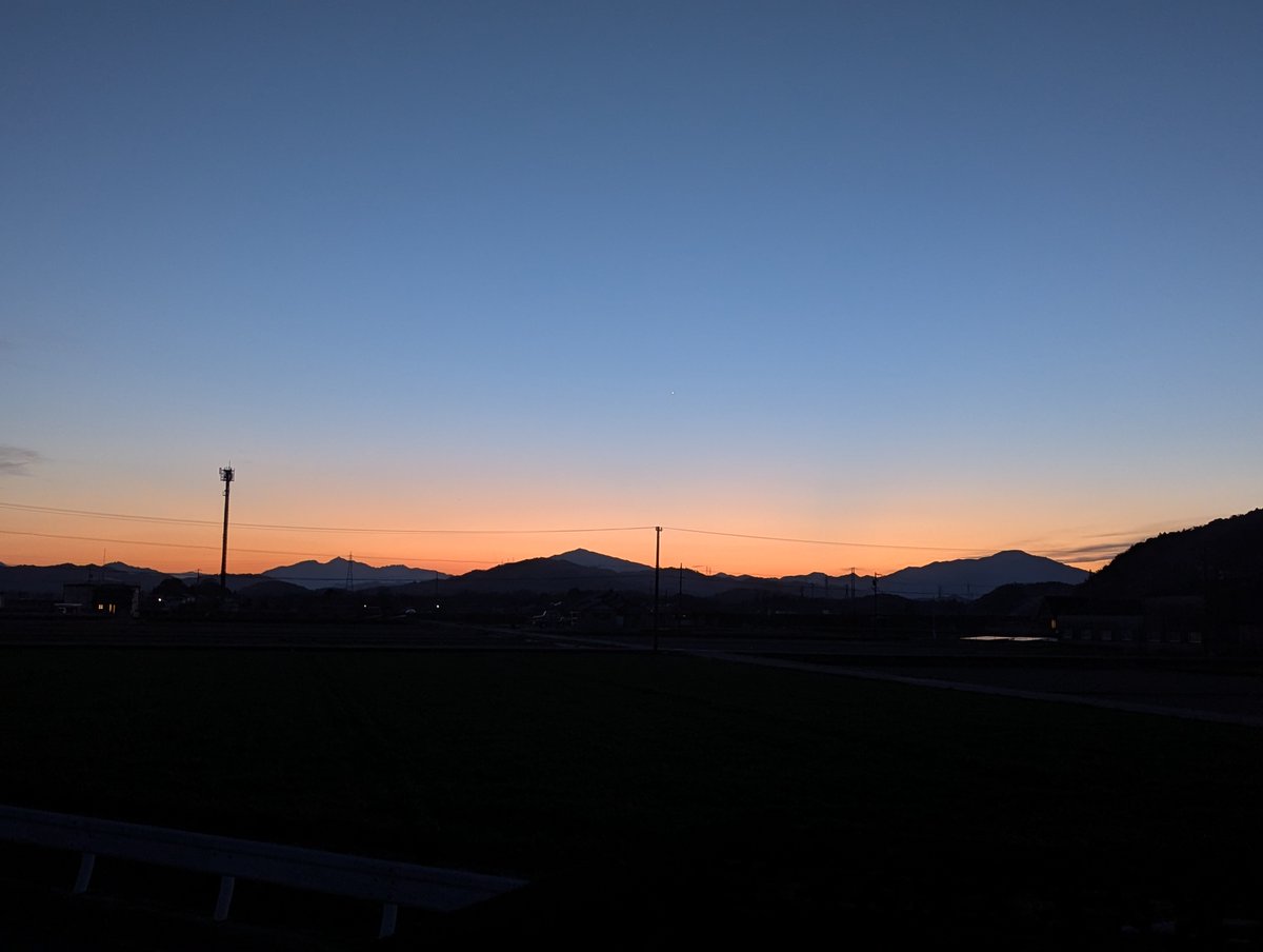 旅先での写真 tweet media