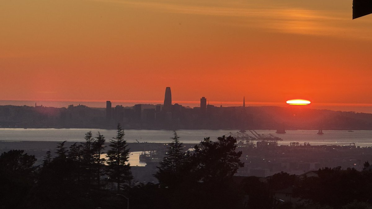 Grant Cohn tweet media