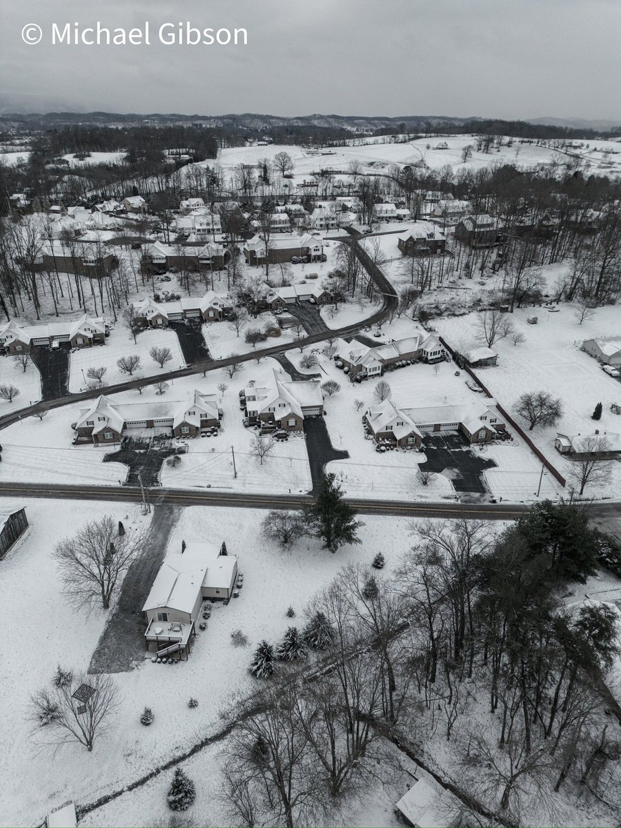 Michael Gibson tweet media