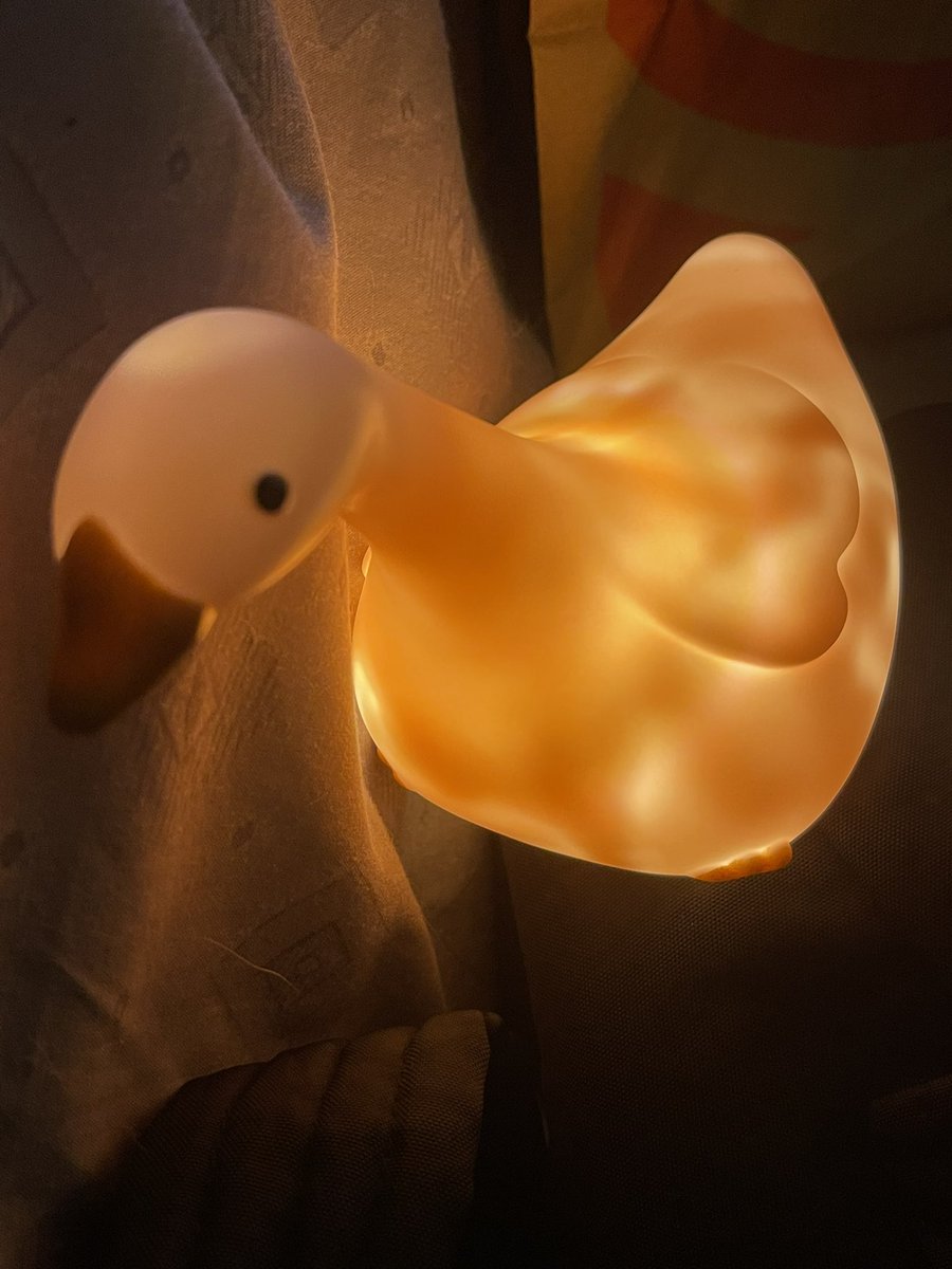 🍄🌿 Q 🌿🍄 tweet media