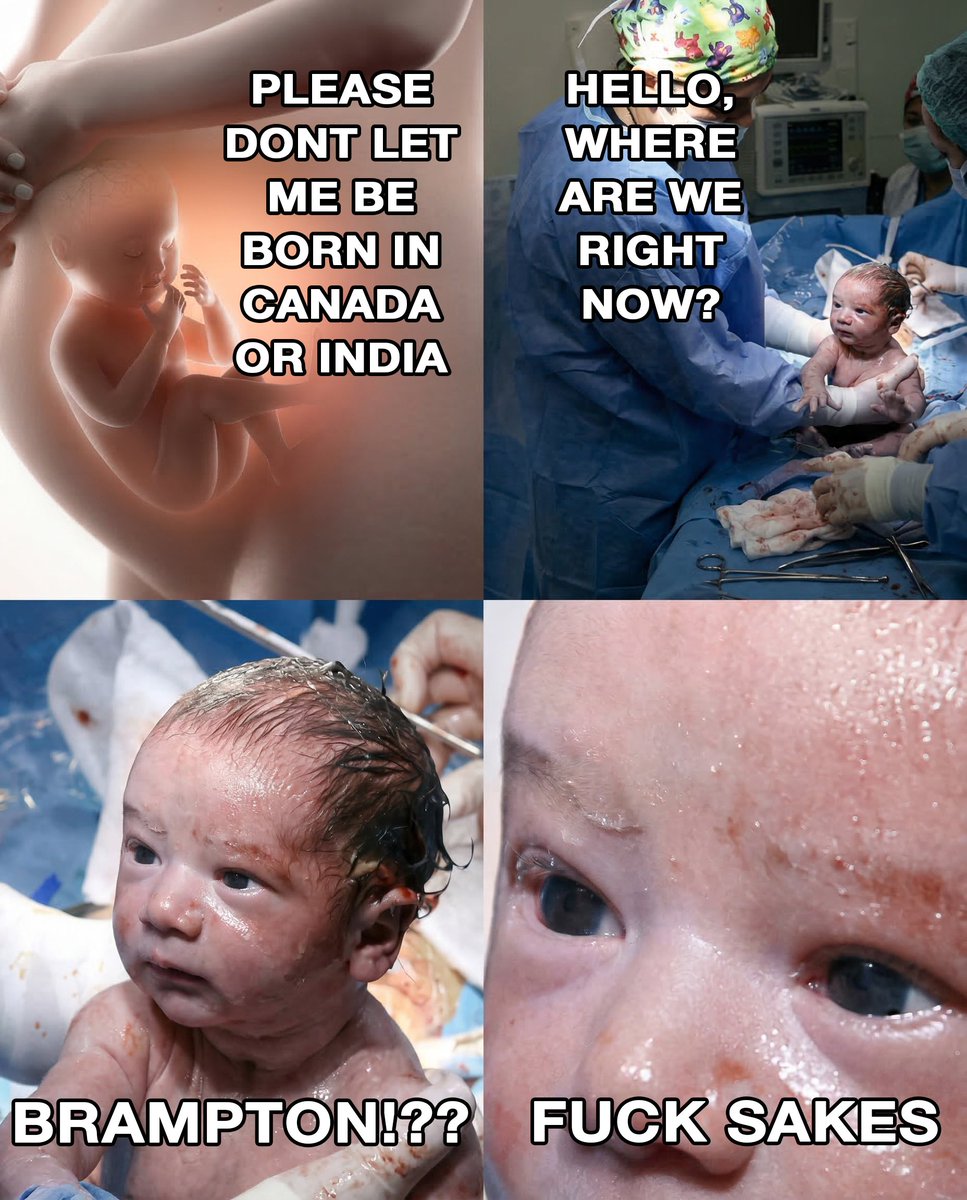 The National Roast tweet media