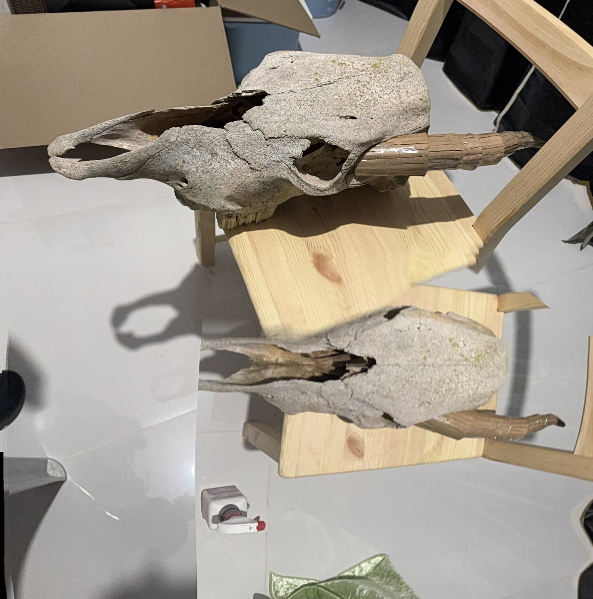 فاتح تويتر للفضفضة tweet media