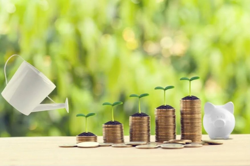 春天来了，开始播种了。