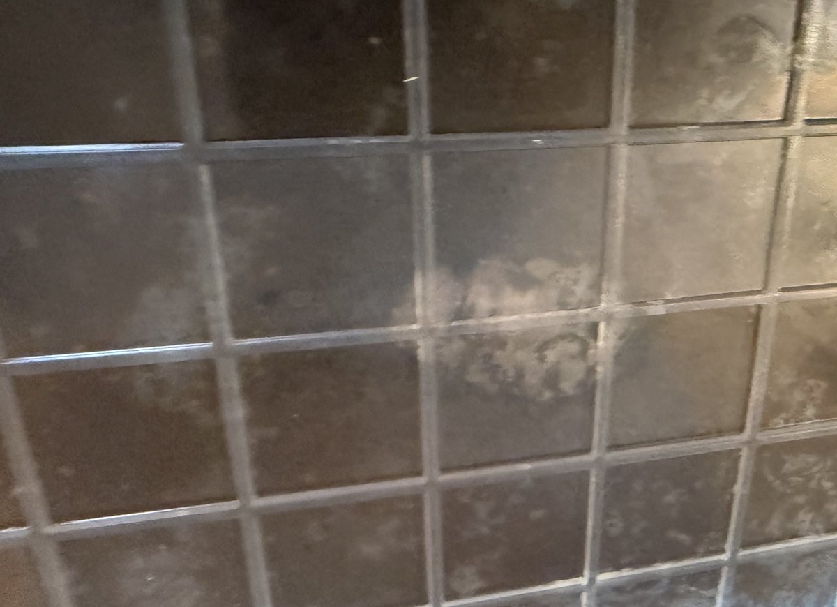 レッドホットチリタコス🦎🐍🐿🐈🐹 tweet media