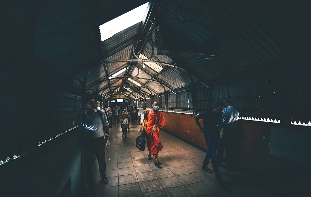 Son of the Morning Light tweet media