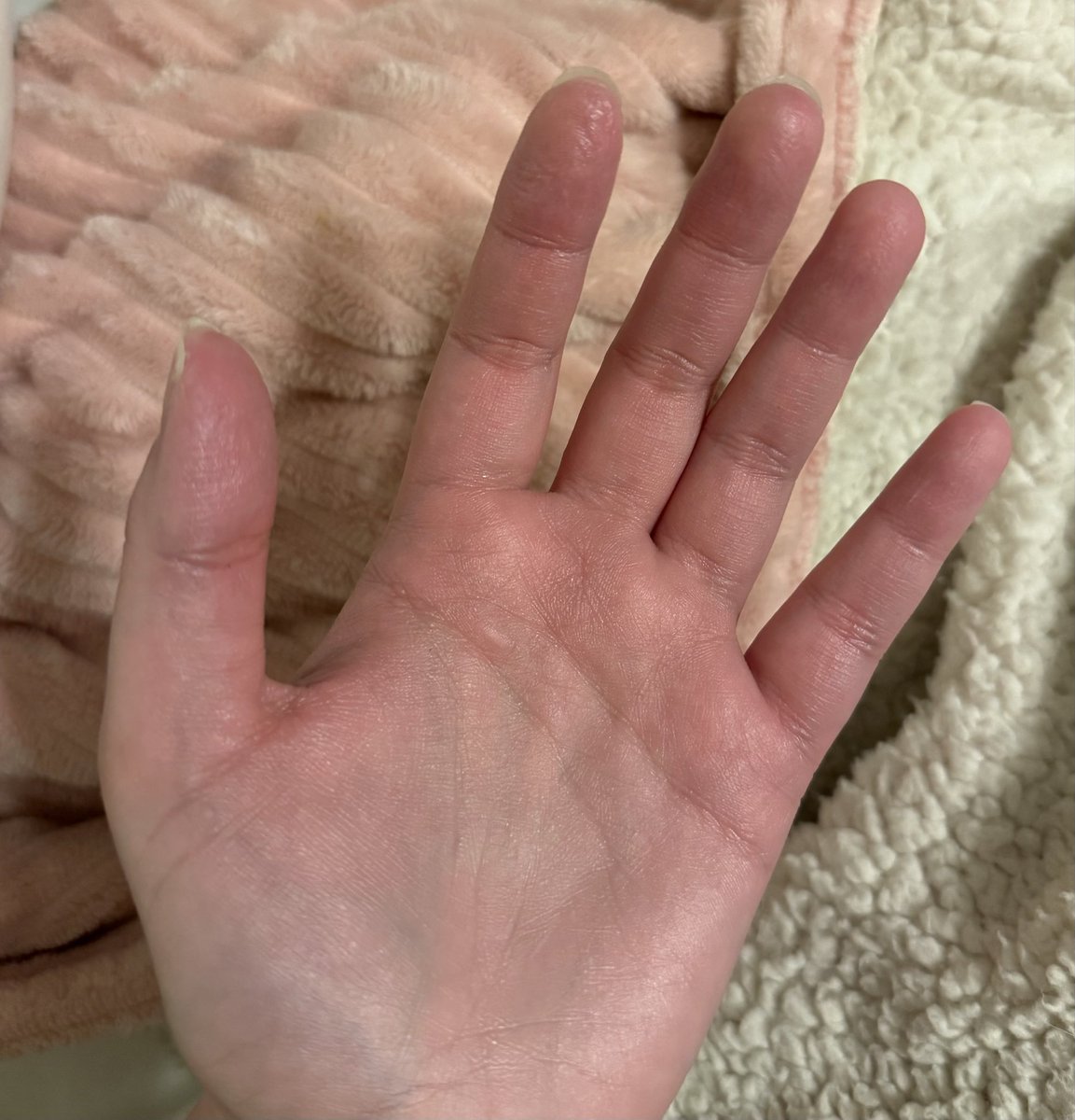 Mary Tiles Texas tweet media