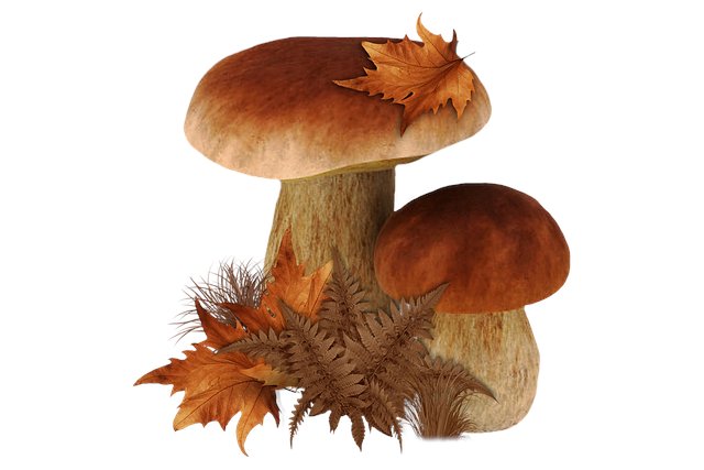 Byron Tulsa tweet media