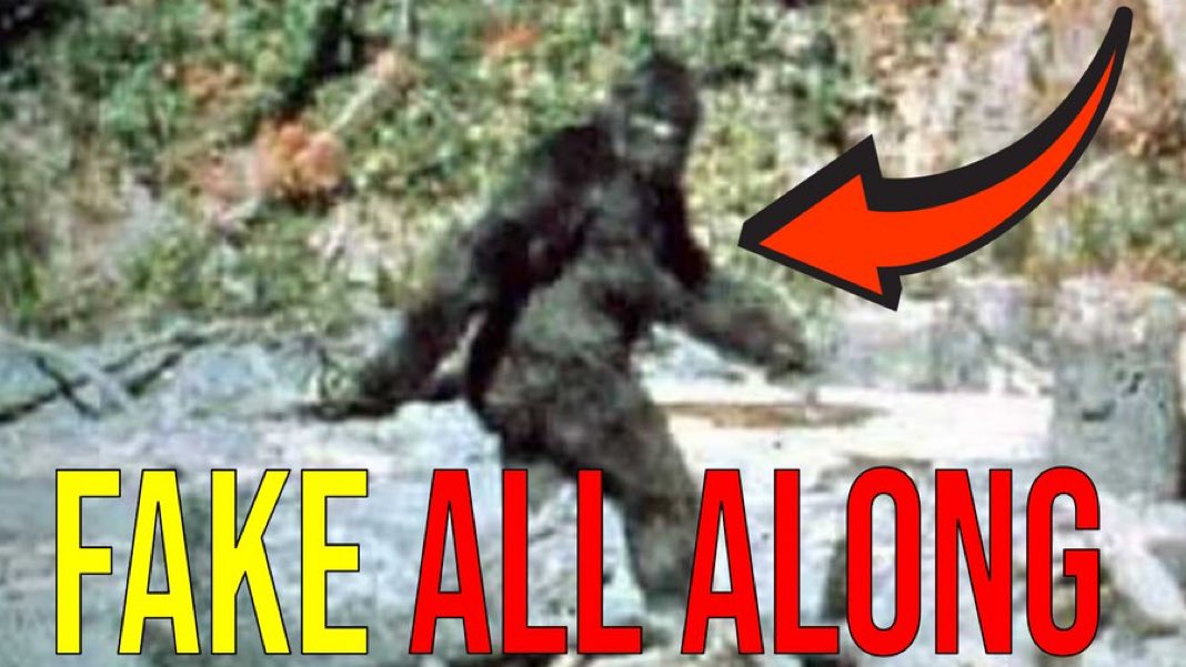 Cʜʀɪs Sᴛᴇɪɴ tweet media