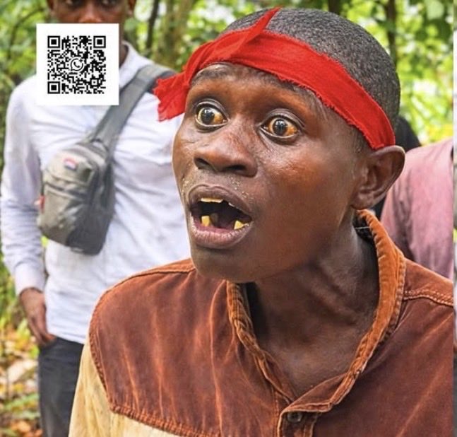 Kevin Taylor tweet media