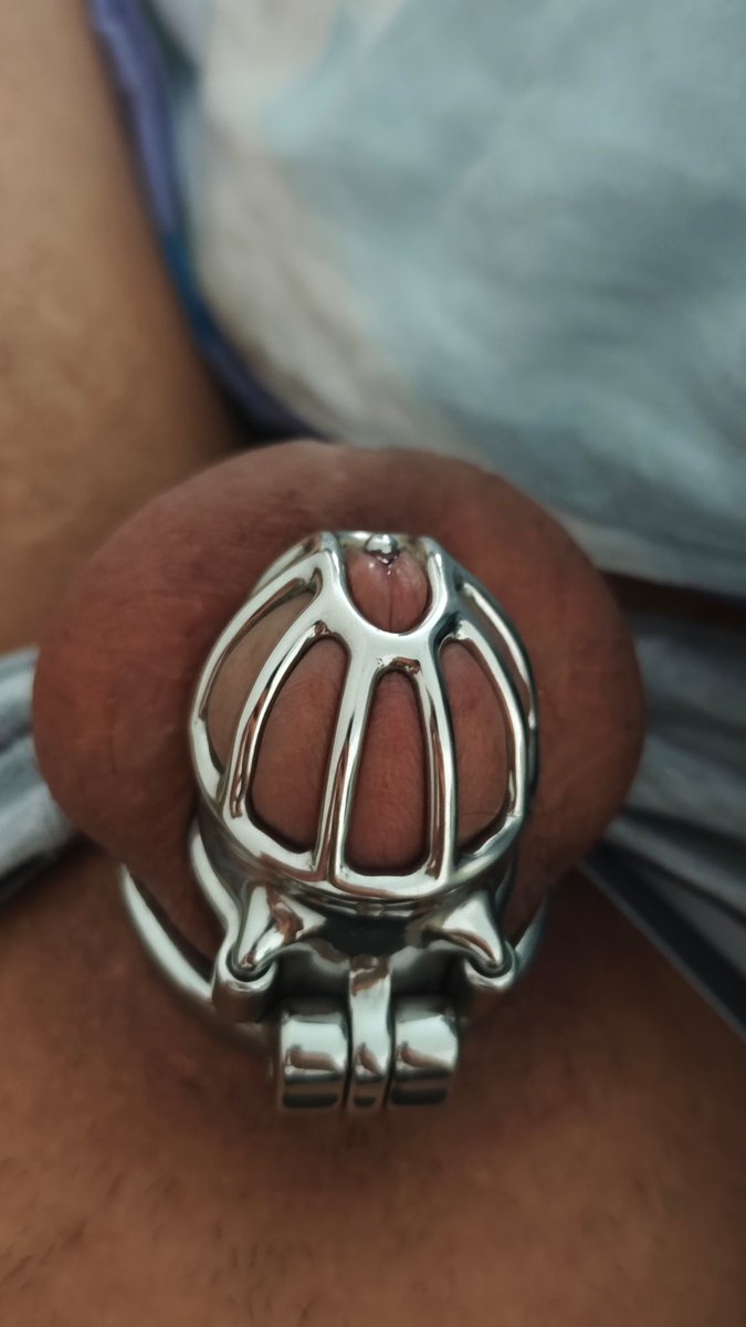 战肌ZJ tweet media