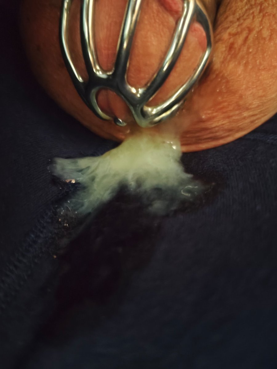 战肌ZJ tweet media