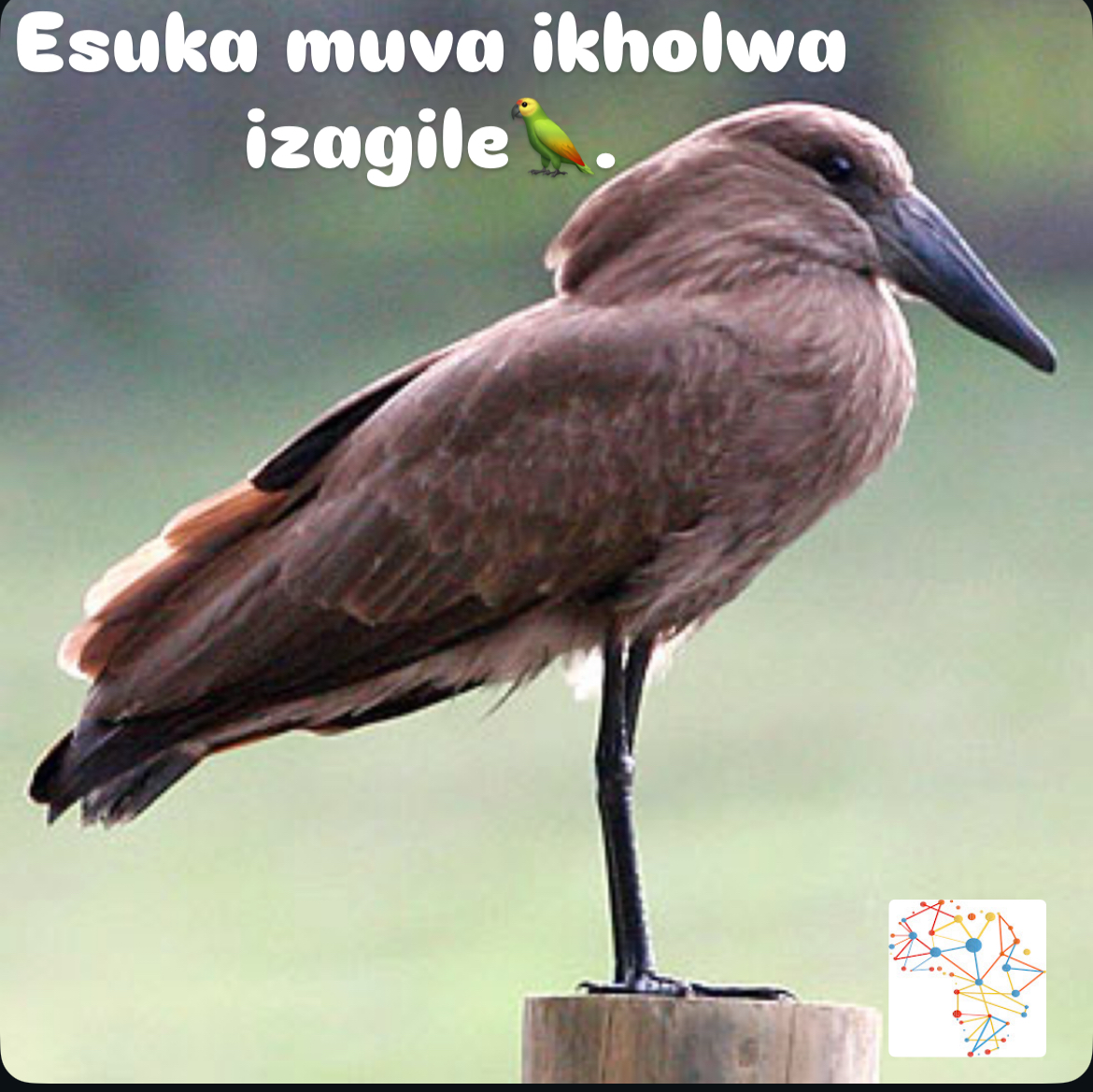 Cikozisa inkulumo yakho ngezaga.
#trendig 
#IsiZulu
#LanguageHacks 
#fypシ゚viral 

iafrika.org/izaga-zokuxway…