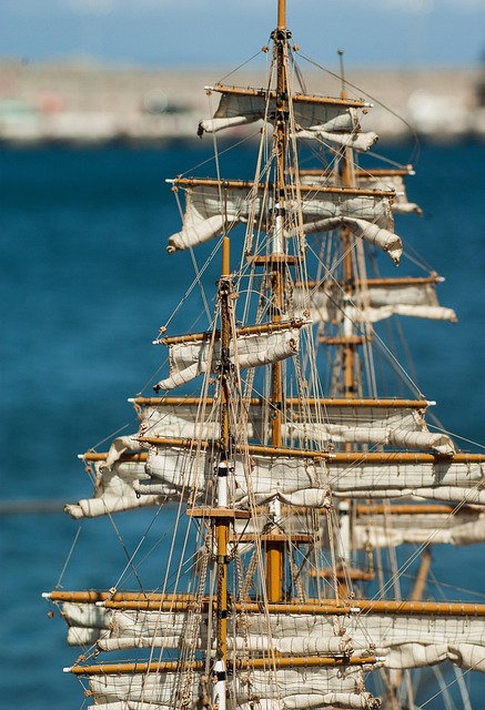 Sam Payne tweet media