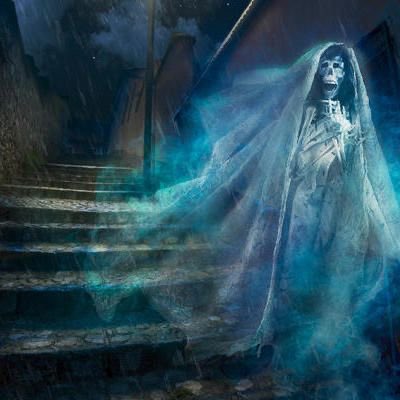 Dr Dante tweet media