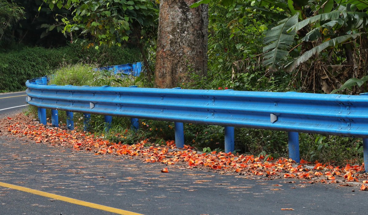 Explore Hainan tweet media